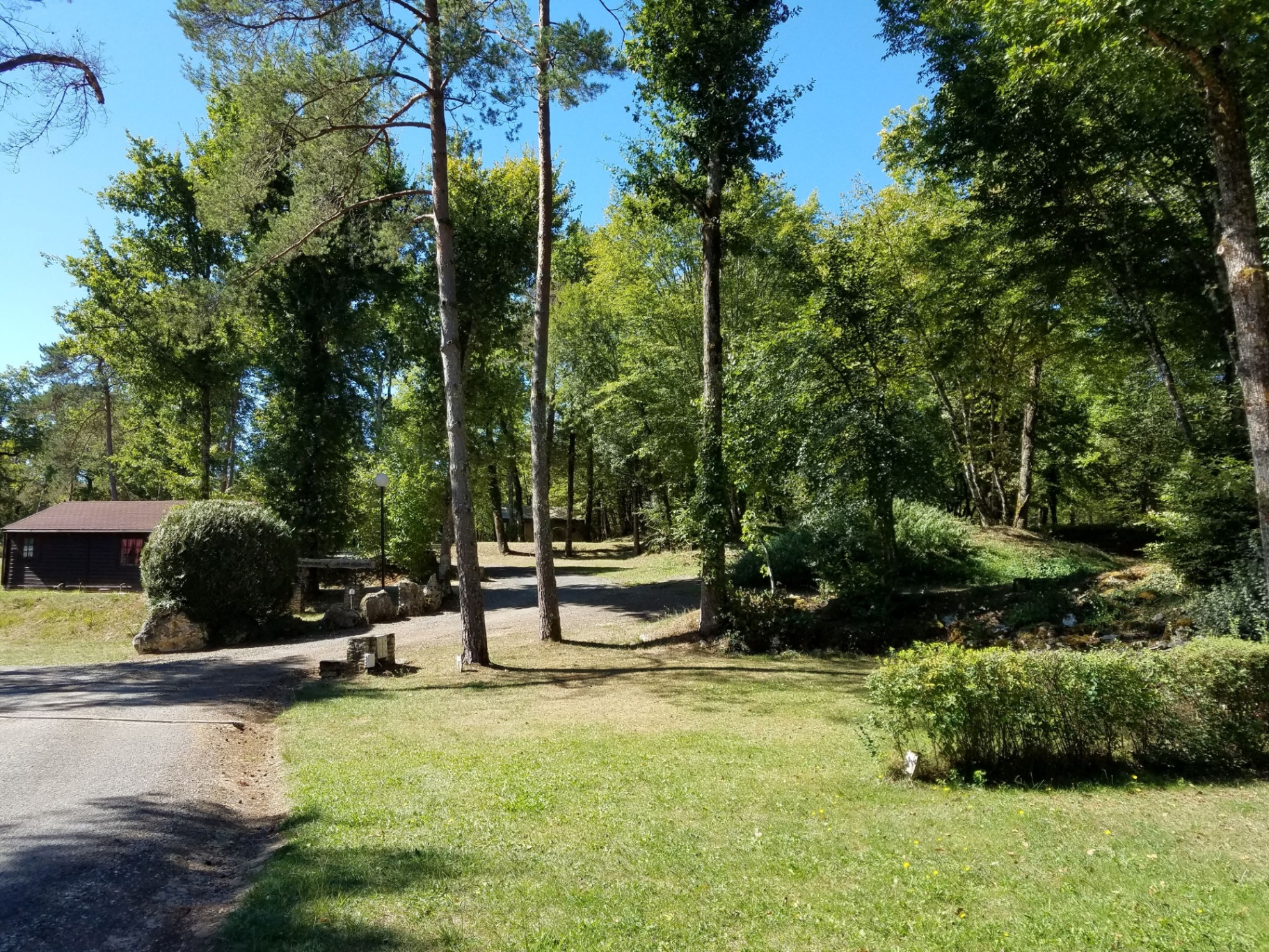 Allée ombragée sous les arbres du camping