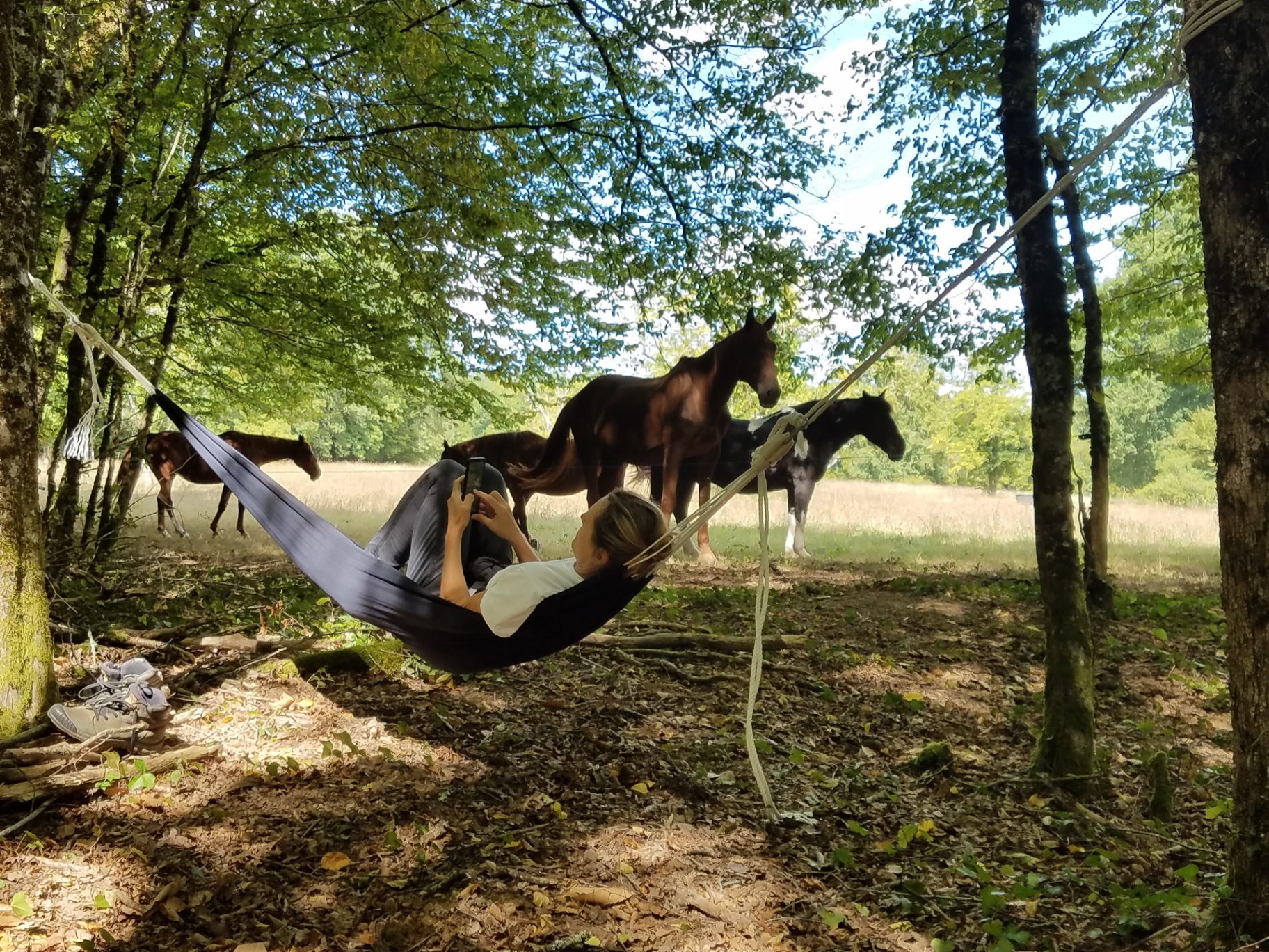 Détente en hamac avec les chevaux au camping Les Tourterelles
